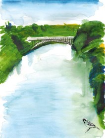 claudelands-bridge26012017-copy-copy