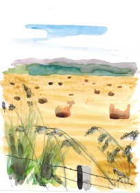 hay-22012017_0001-copy-copy