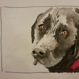 IMG_20170715_210331_727